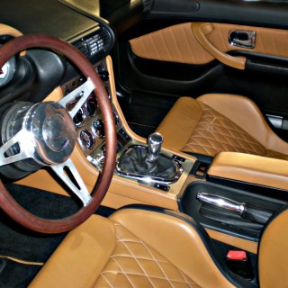 Tan Leather Auto Interior